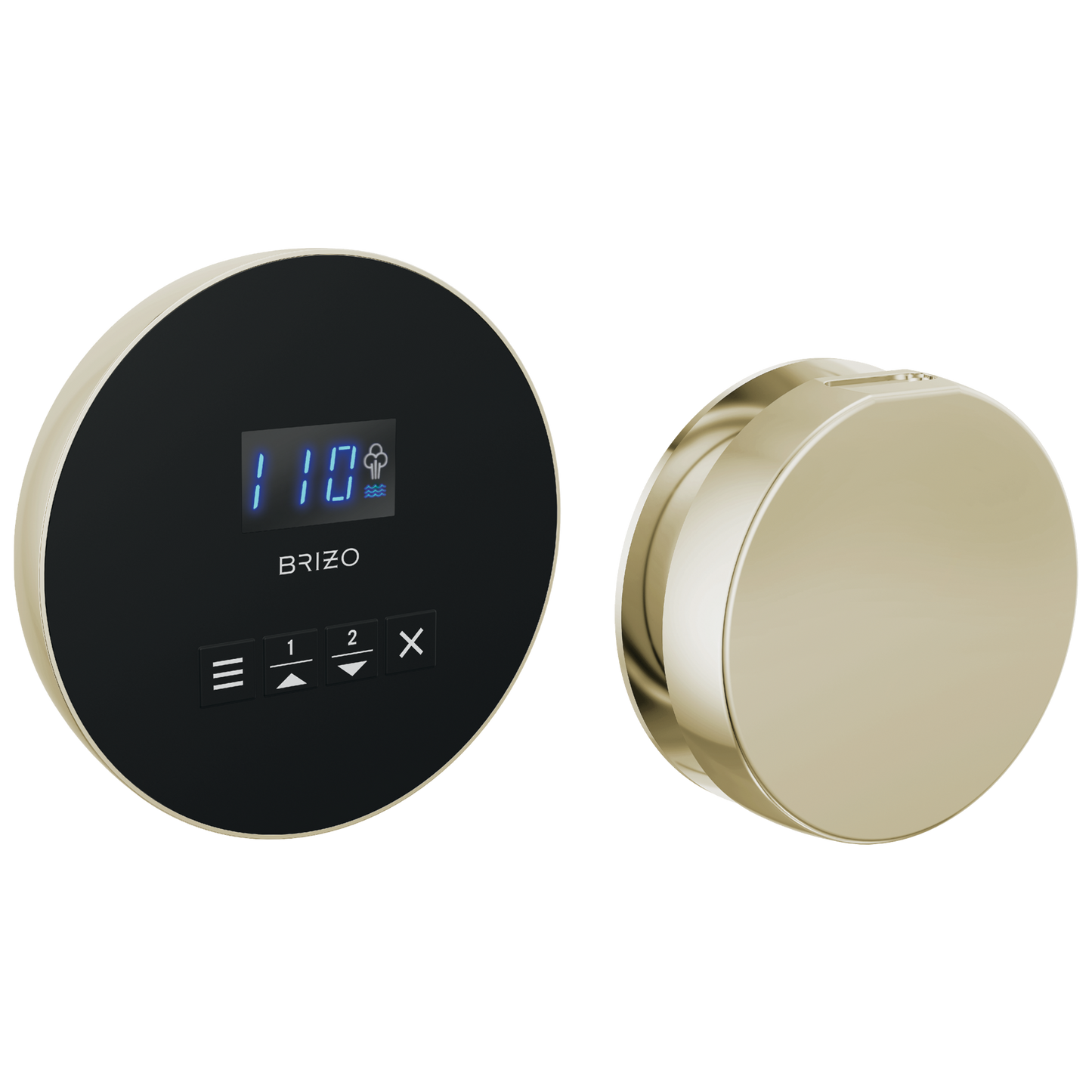 Brizo Round Steam Set
