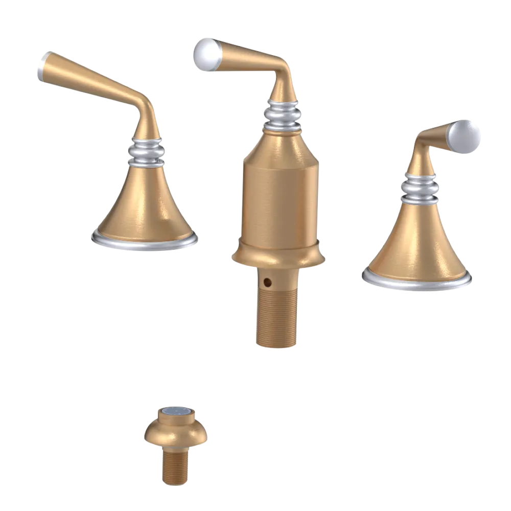 Rubinet Bidet Fitting with Spray, Diverter, and Vacum Breaker (Less Drain) Satin Gold