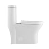 Neptune Florence 4.1/6L Dual Flush Elongated One-Piece Toilet in White