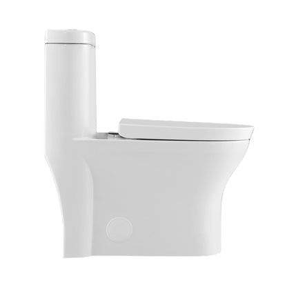 Neptune Florence 4.1/6L Dual Flush Elongated One-Piece Toilet in White