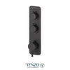 Tenzo Extenza 2 Functions Alyss Thermostatic 2-Way Shower Trim