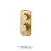 Tenzo T-box 2 Functions With Diverter Alyss Thermostatic 2-Way Shower Trim
