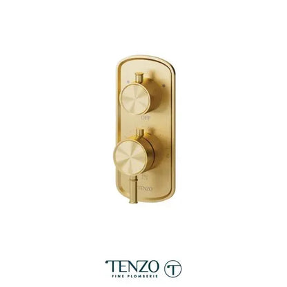 Tenzo T-box 2 Functions With Diverter Alyss Thermostatic 2-Way Shower Trim
