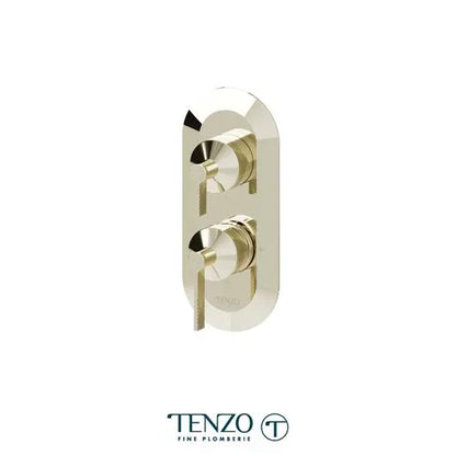 Tenzo T-box 2 Functions With Diverter Paloma Thermostatic 2-Way Shower Trim