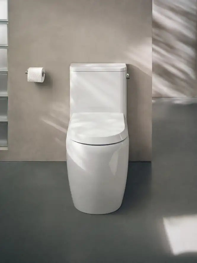 Duravit Two-Piece Toilets