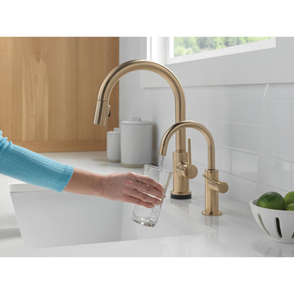 DELTA® Contemporary Round Beverage Faucet