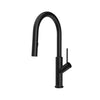 Kalia KARISMATIK Pull-down kitchen faucet with spray head