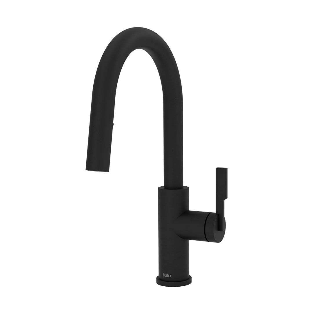 Kalia FORGE Type-R BAR single handle kitchen faucet pull-down dual spray matte black – KF2273-160