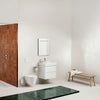 Laufen Kartell Wall Hung Toilet - Golzar Home
