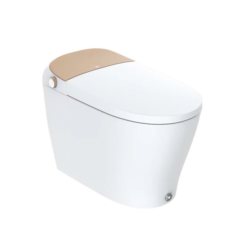 Lux Gold Smart Toilet - Golzar Home