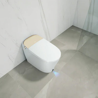 Lux Gold Smart Toilet - Golzar Home