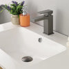 Madison Single Hole Bathroom Faucet-F11123 - Golzar Home