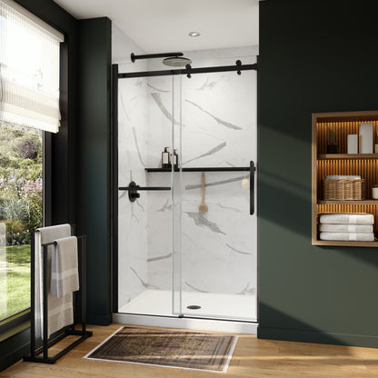 Neptune Axion 44 1/2-47 x 78 3/4 in. 8 mm Sliding Shower Door with Towel Bar for Alcove Installation with Clear glass in Chrome