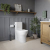 Neptune Florence 4.8L Side Flush One-Piece Toilet in White