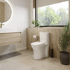 Neptune Florence 4.1/6L Dual Flush Elongated One-Piece Toilet in White
