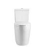 Neptune Prague 4.1/6L Dual Flush Elongated One-Piece Toilet in White