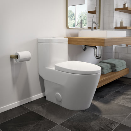 Neptune Zen 4.1/6L Dual Flush Elongated One-Piece Toilet in White