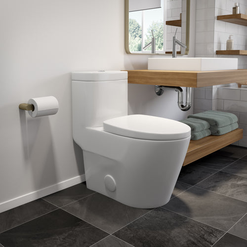 Neptune Zen 4.1/6L Dual Flush Elongated One-Piece Toilet in White