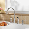 Avalon 1-Handle Kitchen Faucet 1-Handle Kitchen Faucet