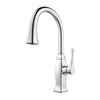 Briarsfield 1-Handle Pull-Down Kitchen Faucet 1-Handle Pull-Down Kitchen Faucet