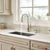 Briarsfield 1-Handle Pull-Down Kitchen Faucet 1-Handle Pull-Down Kitchen Faucet