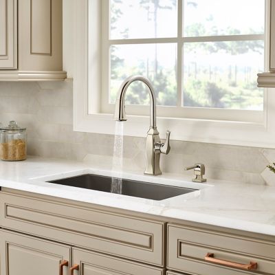 Briarsfield 1-Handle Pull-Down Kitchen Faucet 1-Handle Pull-Down Kitchen Faucet