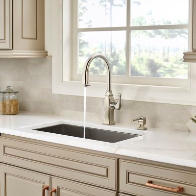 Briarsfield 1-Handle Pull-Down Kitchen Faucet 1-Handle Pull-Down Kitchen Faucet