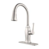 Briarsfield 1-Handle Pull-Down Kitchen Faucet 1-Handle Pull-Down Kitchen Faucet