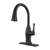 Briarsfield 1-Handle Pull-Down Kitchen Faucet 1-Handle Pull-Down Kitchen Faucet