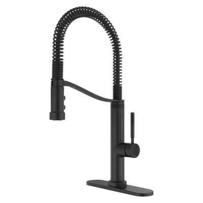 Bruton 1-Handle Culinary Pull-Down Kitchen Faucet 1-Handle Culinary Pull-Down Kitchen Faucet