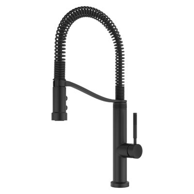 Bruton 1-Handle Culinary Pull-Down Kitchen Faucet 1-Handle Culinary Pull-Down Kitchen Faucet