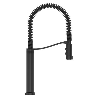 Bruton 1-Handle Culinary Pull-Down Kitchen Faucet 1-Handle Culinary Pull-Down Kitchen Faucet