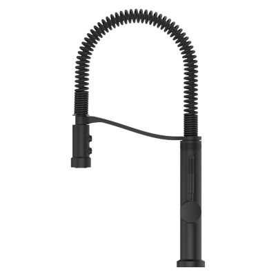 Bruton 1-Handle Culinary Pull-Down Kitchen Faucet 1-Handle Culinary Pull-Down Kitchen Faucet