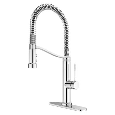 Bruton 1-Handle Culinary Pull-Down Kitchen Faucet 1-Handle Culinary Pull-Down Kitchen Faucet