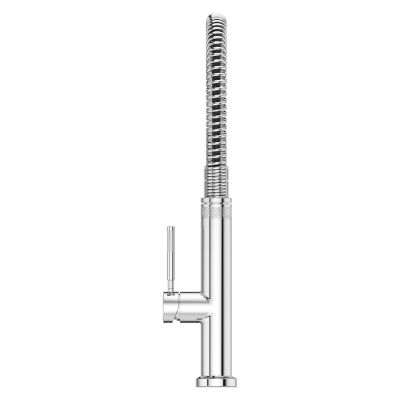 Bruton 1-Handle Culinary Pull-Down Kitchen Faucet 1-Handle Culinary Pull-Down Kitchen Faucet