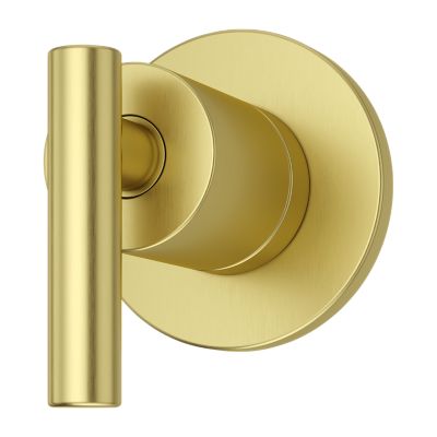 Contempra Diverter Trim Diverter Trim