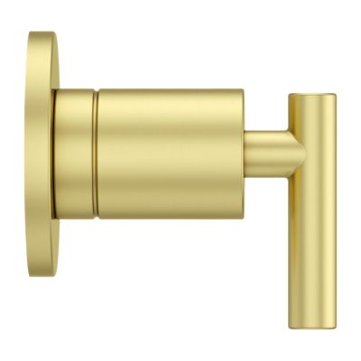 Contempra Diverter Trim Diverter Trim