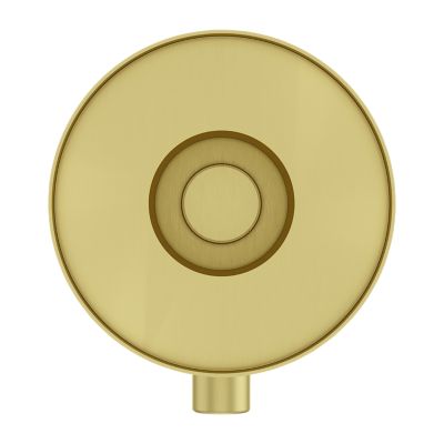 Contempra Diverter Trim Diverter Trim