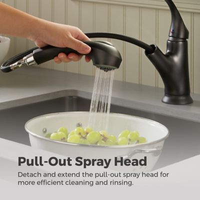 Shelton 1-Handle Pull-Out Kitchen Faucet 1-Handle Pull-Out Kitchen Faucet