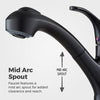 Shelton 1-Handle Pull-Out Kitchen Faucet 1-Handle Pull-Out Kitchen Faucet
