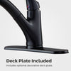 Shelton 1-Handle Pull-Out Kitchen Faucet 1-Handle Pull-Out Kitchen Faucet
