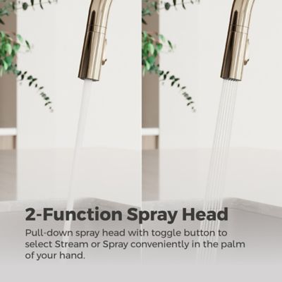 Tenet 1-Handle Pull-Down Kitchen Faucet 1-Handle Pull-Down Kitchen Faucet
