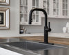 Montay 1-Handle Pull-Down Kitchen Faucet 1-Handle Pull-Down Kitchen Faucet