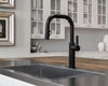 Montay 1-Handle Pull-Down Kitchen Faucet 1-Handle Pull-Down Kitchen Faucet