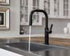 Montay 1-Handle Pull-Down Kitchen Faucet 1-Handle Pull-Down Kitchen Faucet