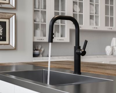 Montay 1-Handle Pull-Down Kitchen Faucet 1-Handle Pull-Down Kitchen Faucet