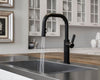 Montay 1-Handle Pull-Down Kitchen Faucet 1-Handle Pull-Down Kitchen Faucet