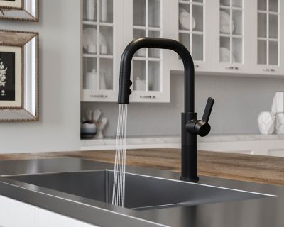 Montay 1-Handle Pull-Down Kitchen Faucet 1-Handle Pull-Down Kitchen Faucet