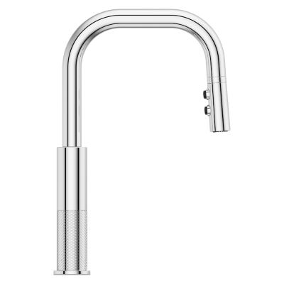 Montay 1-Handle Pull-Down Kitchen Faucet 1-Handle Pull-Down Kitchen Faucet