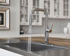 Montay 1-Handle Pull-Down Kitchen Faucet 1-Handle Pull-Down Kitchen Faucet